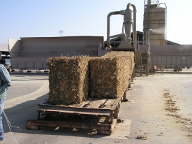 4x3x8 Corn Stover Bales on Bale Feed Conveyor feeding into G272-26-300 Grinder