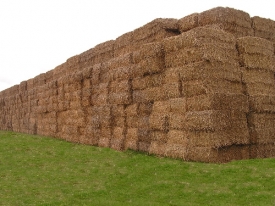 Baled Biomass