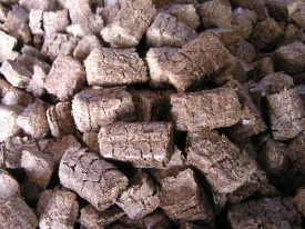 Miscanthus Cubes