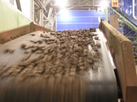 Conveyor with Biomass Wood Cubes